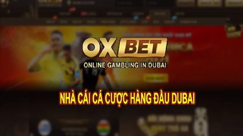 Review đánh giá Oxbet - Điểm Nhấn Trong Thế Giới Cá Cược Quốc Tế